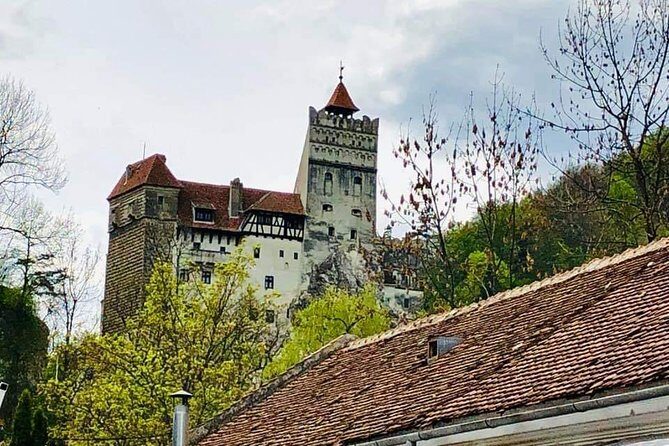 1 Day Castles Tour - Sinaia and Bran - Peliș Castle: Neo-Renaissance Glam With Real Context