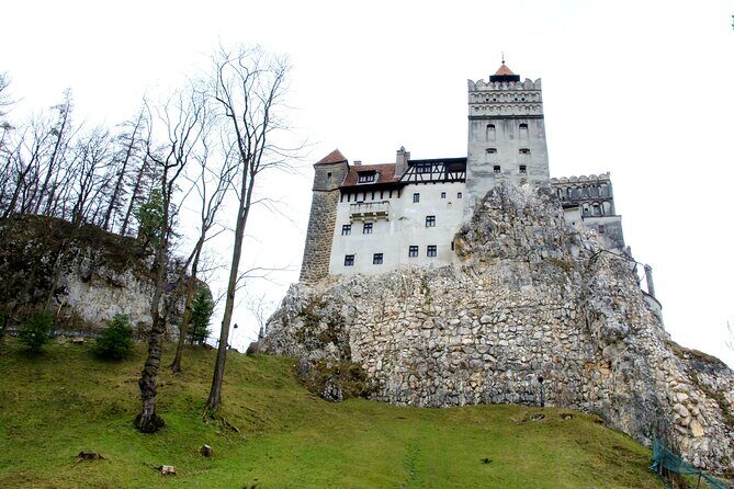 Bear Sanctuary and Bran Castle from Brasov - Liberty Bear Sanctuary in Zărnești: More Than a Photo Stop
