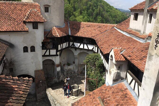 Bear Sanctuary and Bran Castle from Brasov - Price and Tickets: What Your $63 Covers vs. What Adds Up