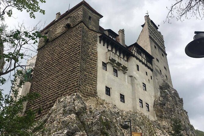 Bear Sanctuary and Bran Castle from Brasov - Group Size, Pickup, and the Brasov Timing Advantage