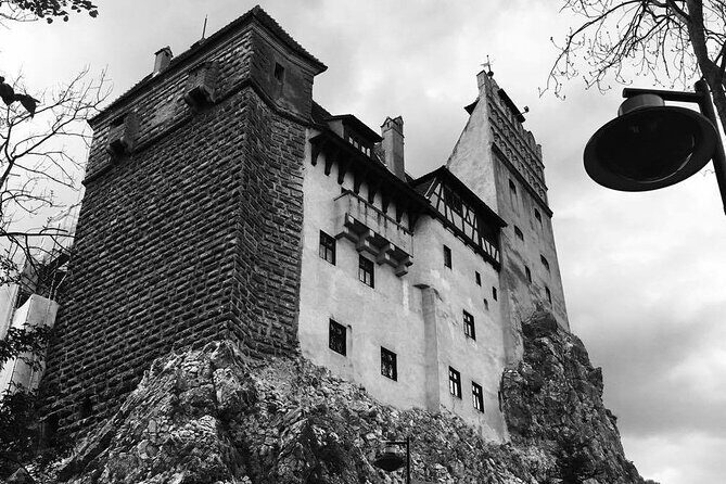 Bear Sanctuary and Bran Castle from Brasov - Should You Book Bear Sanctuary and Bran Castle from Brasov?