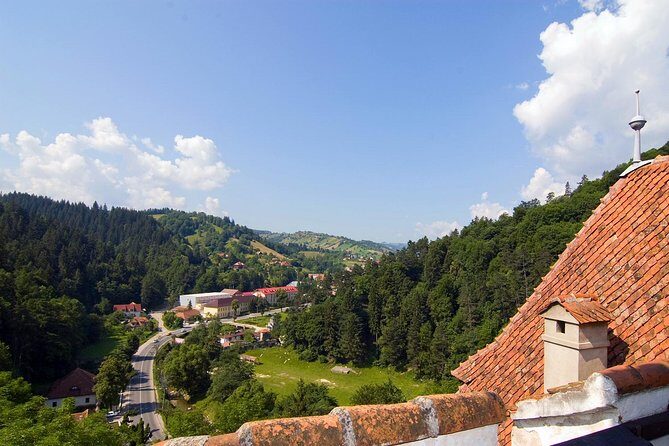Bear Sanctuary, Bran (Dracula) Castle, Peles Castle From Brasov - Who should book this tour from Brasov?