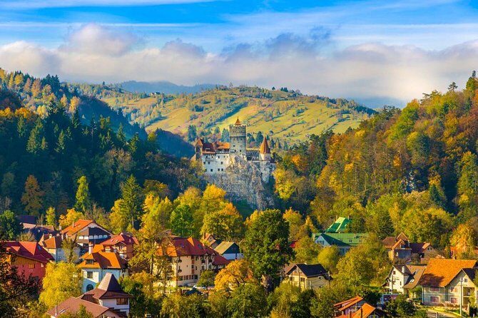 Bear Sanctuary, Bran (Dracula) Castle, Peles Castle From Brasov - Stop 1: Libearty Bear Sanctuary Zărnești and how to visit with the right mindset