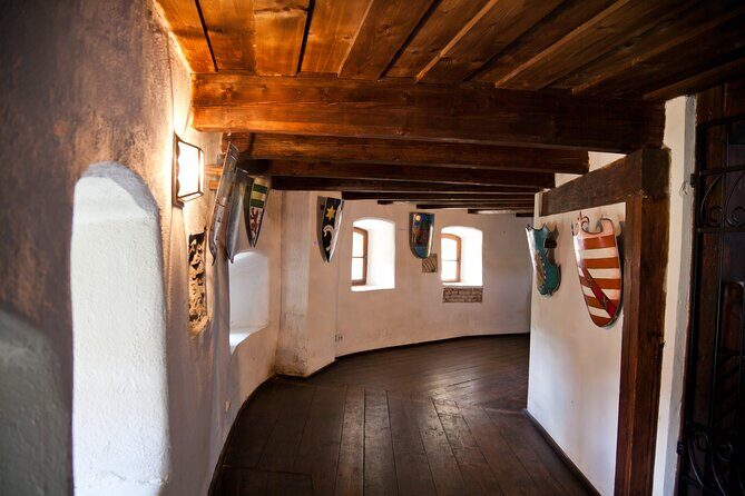 Bears Sanctuary, Dracula Castle and Poiana Brasov-Private day tour from Brasov - Libearty Bear Sanctuary Zărnești: morning visits and the rescue story