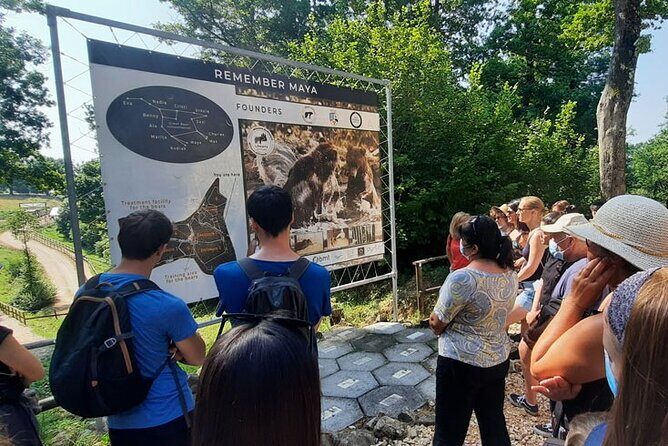 Bears Sanctuary, Dracula Castle and Poiana Brasov-Private day tour from Brasov - The 8:30am rhythm: how the schedule shapes your experience