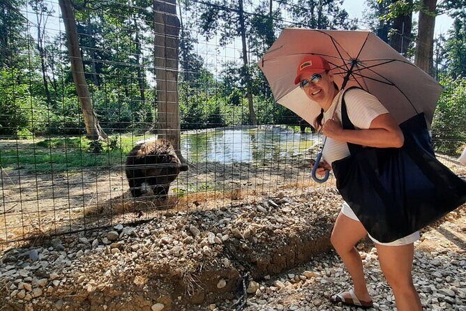 Bears Sanctuary, Dracula Castle and Poiana Brasov-Private day tour from Brasov - Who this tour is best for in Brasov