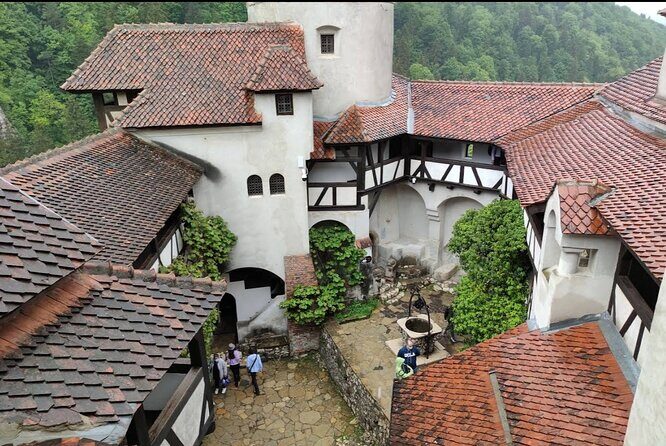 Bears Sanctuary, Dracula's Castle and Brașov City - Private Tour - Libearty Bear Sanctuary Zărnești: Why This Stop Hits Hard