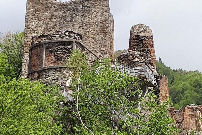 Bears Sanctuary, Dracula's Castle, Brasov Day Trip Private Tour from Bucharest - Brasov historic center: medieval town energy with room to breathe