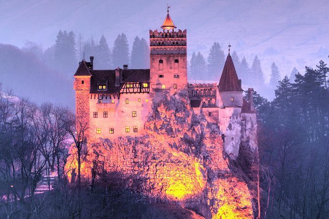Bears Sanctuary, Dracula's Castle, Brasov Day Trip Private Tour from Bucharest - What this day feels like in real life (and who it suits)