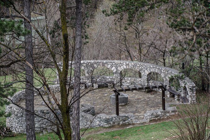 Bran Castle, Bear Sanctuary, and Rasnov Fortress Half Day Tour - Brașov to Transylvania in one smooth half-day style outing