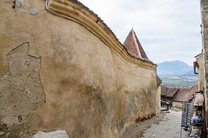 Bran Castle, Bear Sanctuary, and Rasnov Fortress Half Day Tour - Timing and pacing: what a 7-hour plan really feels like
