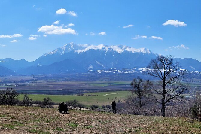 Bran Castle & Bear Sanctuary from Brasov - Optional Peles Castle - Libearty Bear Sanctuary Zărnești: Ethical Rescue in 69 Hectares