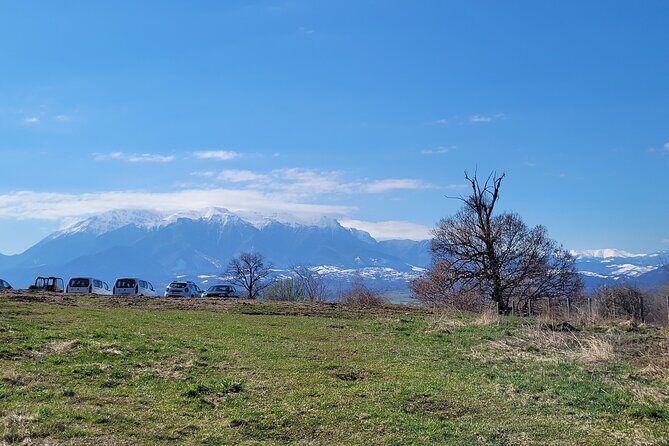 Bran Castle & Bear Sanctuary from Brasov - Optional Peles Castle - Optional Peles Castle: When You Want Even More Palace Time