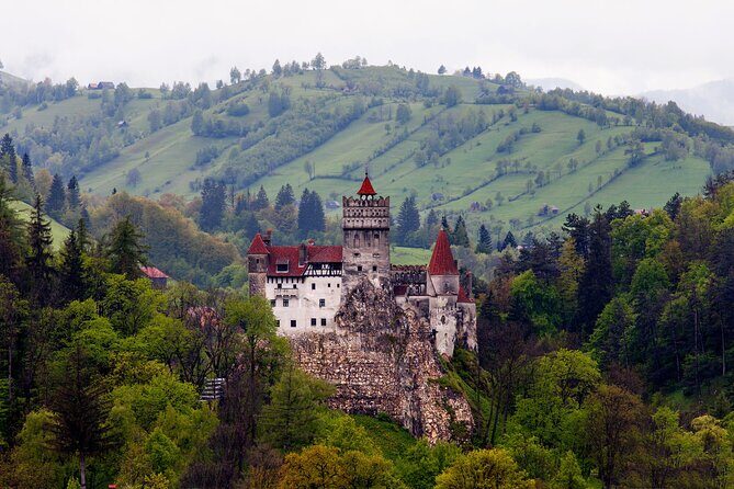 Bran Castle Entry Tickets - What you’ll see inside: spooky towers, secret passages, and photo stops