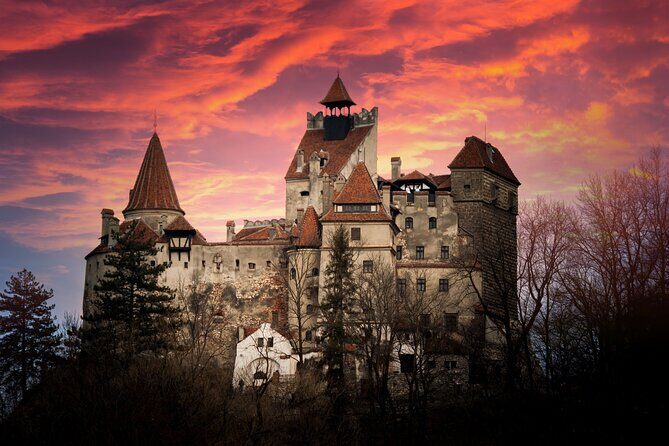 Bran Castle Entry Tickets - Don’t miss the Royal Garden: lake views and Queen Maria’s Tea House