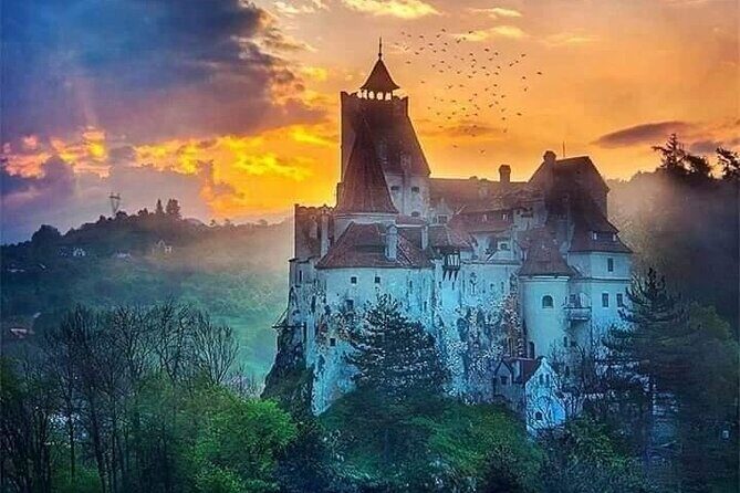 Bran Castle, Rasnov Fortress, Harman & Prejmer Fortified Churches Day Tour - A practical 8-hour Transylvania hit from Brasov