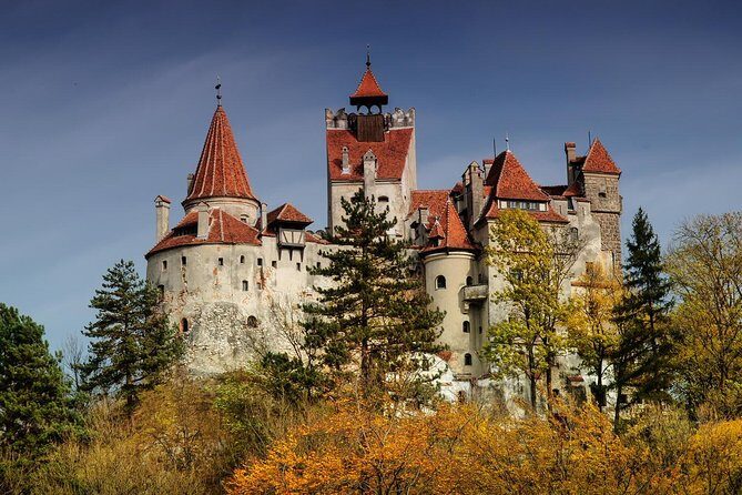 Bran (Dracula) Castle, Bear Sanctuary, Rasnov Fortress & Palinca Distillery - Bran Castle and the Outdoor English Garden: Dracula, Plus Structure
