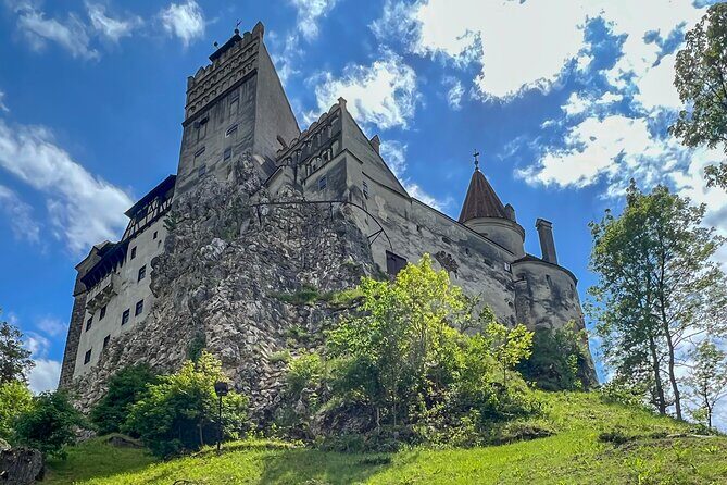Bran (Dracula) Castle, Bear Sanctuary, Rasnov Fortress & Palinca Distillery - Liberty Bear Sanctuary Zărnești: The Most Meaningful Hour