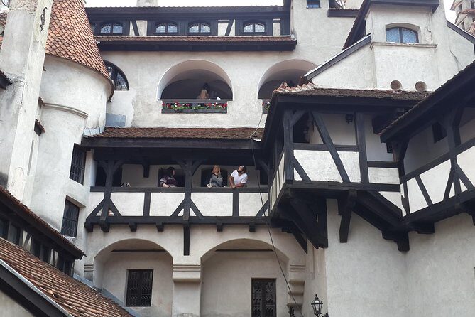 Brasov: Bear Sanctuary, Bran Castle & Rasnov Fortress GUIDED Tour - Time on the ground: pacing, walking, and what you can realistically see