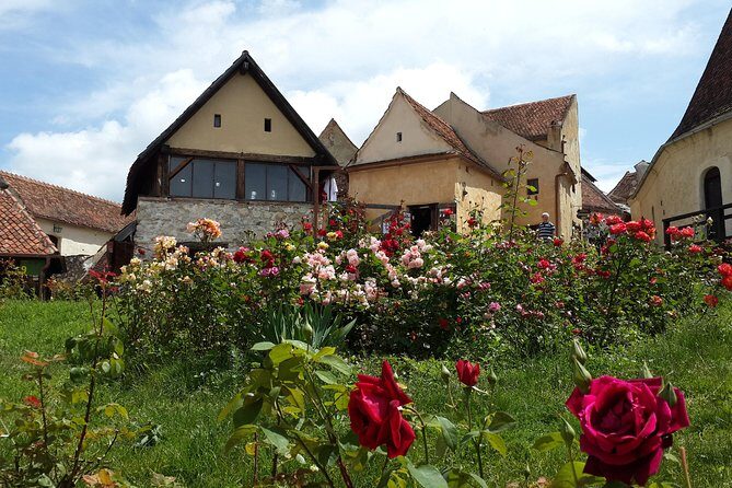 Brasov: Bear Sanctuary, Bran Castle & Rasnov Fortress GUIDED Tour - Price and value: what $69.54 gets you (and what to budget for)