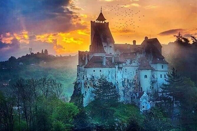 Brasov: Bear Sanctuary, Bran Castle & Rasnov Fortress GUIDED Tour - Practical tips that make this day smoother