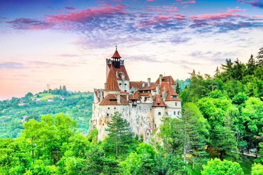 Brasov: Bear Sanctuary, Dracula Castle, and Râşnov Fortress - Final call: should you book this Brasovtravel experience?