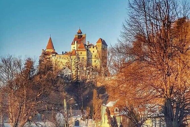 Brasov: Bears Sanctuary, Rasnov Fortress, Bran Castle GUIDED Tour - Râșnov Fortress: Teutonic walls, choo-choo access, and panoramic views