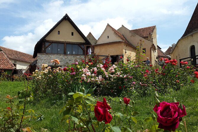 Brasov: Bears Sanctuary, Rasnov Fortress, Bran Castle GUIDED Tour - What the guides do for you (and why it matters on these stops)