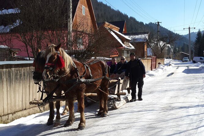 Brasov: Bears Sanctuary, Rasnov Fortress, Bran Castle GUIDED Tour - Who should book this tour, and who might want a different plan