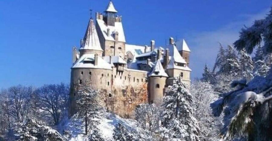 Brasov: Bran, Peles and Cantacuzino Castles Day Tour - Who This Tour Suits Best (and Who Might Prefer Something Else)