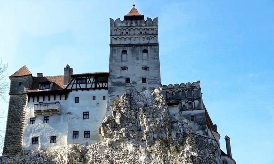 Bucharest: Bran Castle and Bear Sanctuary Small-Group Tour - Food and the Extra Castle Detour You Might Get