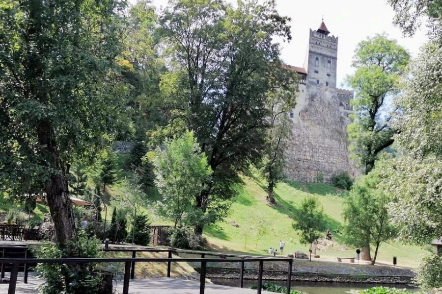 Bucharest: Bran Castle and Bear Sanctuary Small-Group Tour - Time, Walking, and Weather: How to Prepare for a Real Full Day