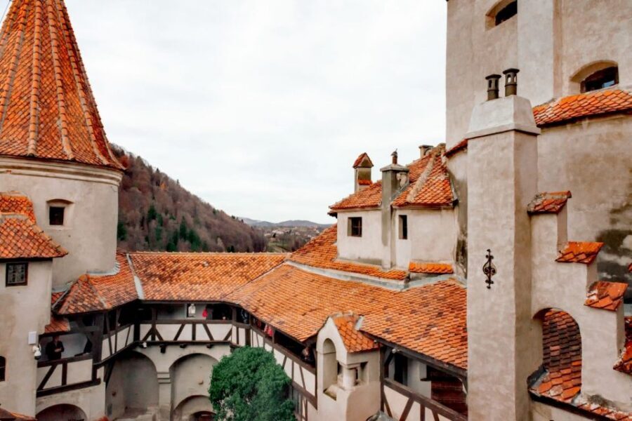Bucharest: Bran Castle and Bear Sanctuary Small-Group Tour - Should You Book This Bran Castle and Bear Sanctuary Tour?