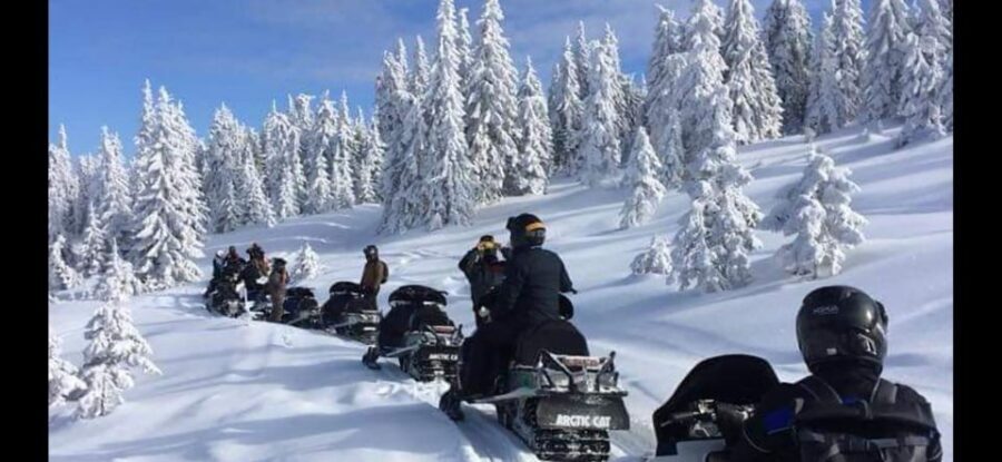 Bucharest: Carpathian Snowmobile / ATV Adventure Tour - Sinaia lunch and dessert: plan for real food time