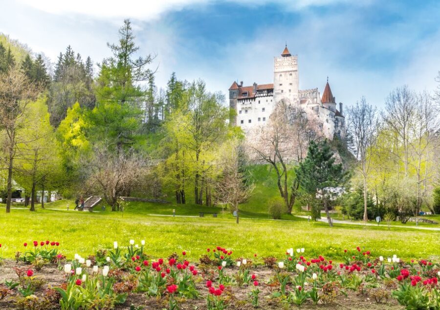 Bucharest: Dracula Castle, Peles Castle & Brasov Guided Tour - Key Highlights Worth Your Time