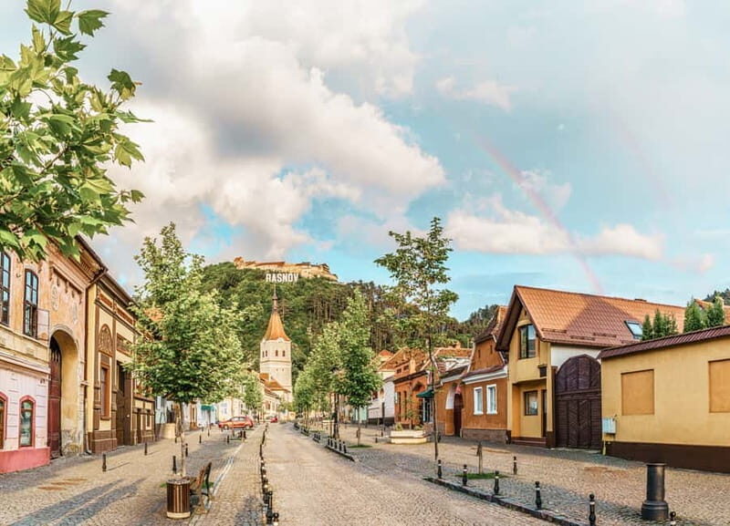 Bucharest: Dracula's Castle, Peleș Castle & Brașov Day Trip - Transportation Comfort and the Details That Prevent Headaches