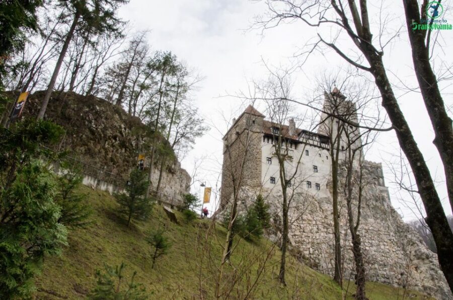 Day trip Bran Castle, Rasnov Fortress and Bear Sanctuary - From Brașov by Van: How the 6-Hour Day Actually Works
