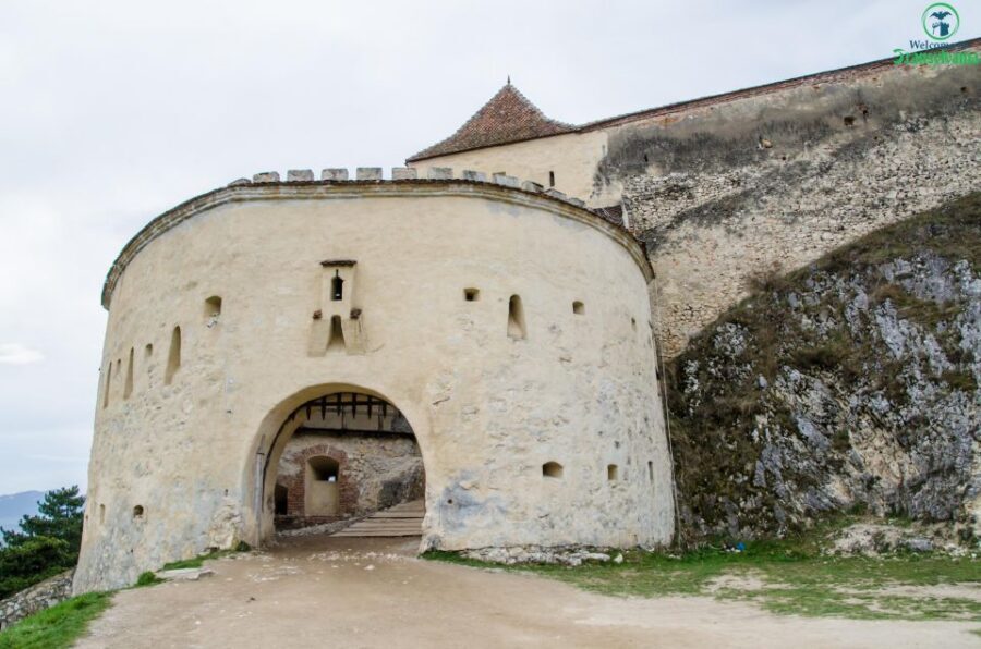 Day trip Bran Castle, Rasnov Fortress and Bear Sanctuary - Should You Book This Bran–Rasnov–Bear Day Trip from Brașov?