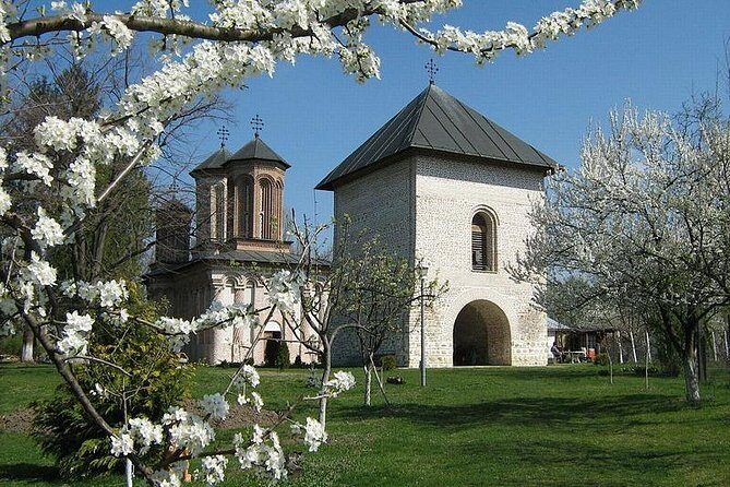 Dracula's Tomb and Mogosoaia Palace, Private Tour from Bucharest - Who this tour fits best (and who should reconsider)