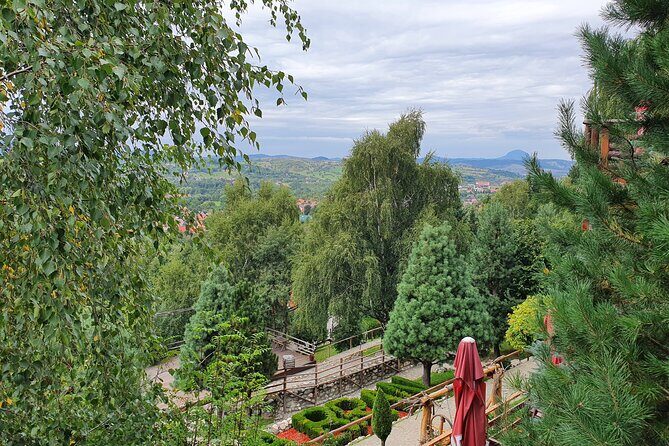 Executive Dracula Day Trip - See Bran & Peles Castle, Brasov from Bucharest - Getting Around: Pickup Comfort, WiFi, and a Private Day That Moves with Your Group