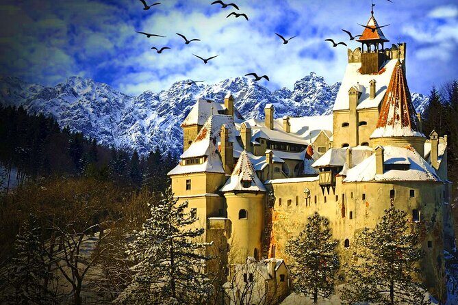 Explore Transylvania: Dracula, Peles Castle & Brasov Private Tour - Transylvania in One Long Day: Why This Route Works from Bucharest