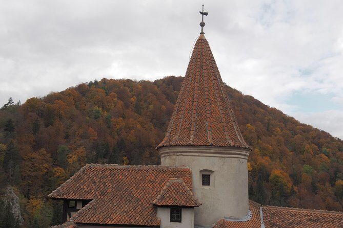 From Brasov: Discover Bran Castle and Râșnov Fortress - Why Bran Castle and Râșnov Work So Well from Brasov