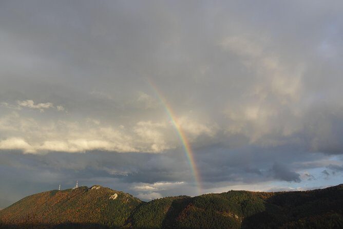From Brasov: Discover Bran Castle and Râșnov Fortress - Getting there: pickup, small-group pace, and timing that matters