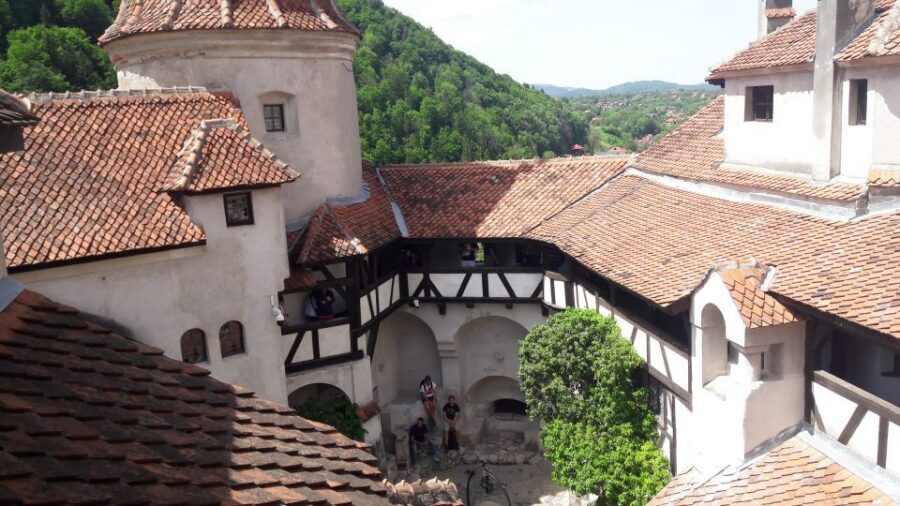 From Brasov: Peles Castle, Bran Castle & Cantacuzino Castle - Key highlights you’ll care about
