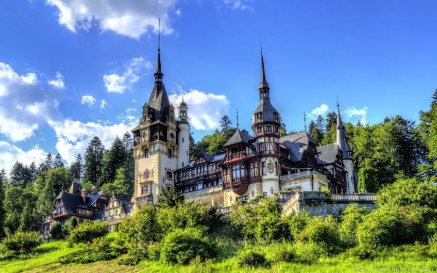 From Bucharest: Day Trip to Dracula and Peles Castle - Comfort and small groups: what “max 5 people” changes