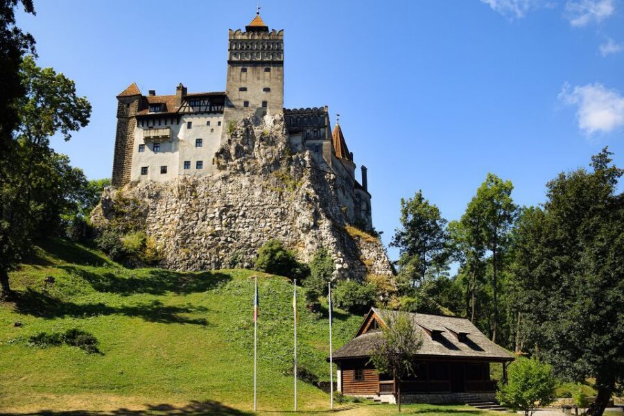 From Bucharest: Libearty Bear Sanctuary and Dracula's Castle - Key highlights you’ll care about