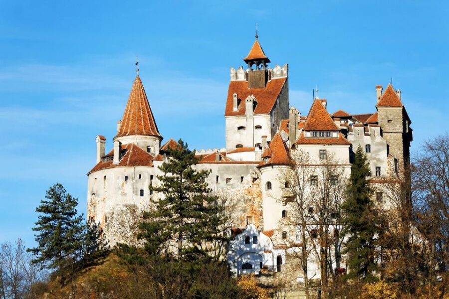 From Bucharest: Libearty Bear Sanctuary and Dracula's Castle - A 10-Hour Bucharest-to-Transylvania Day: What the Timing Really Means