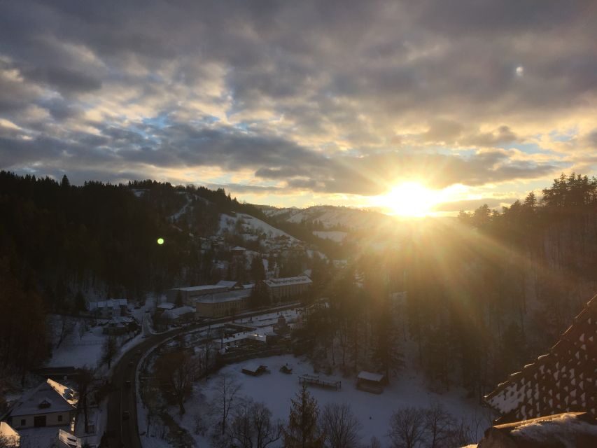 From Bucharest: Peleș and Bran Castles Private Tour - Guide and Driver Quality: How to Read the Reviews Without Getting Scared
