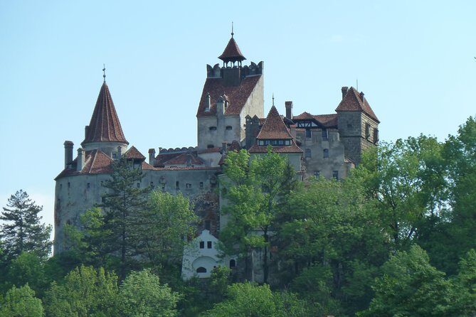 Guided visit in Spanish to the Castle of Dracula in Bran (native Spanish guide). - Bran Castle in One Hour: What You’ll Actually Do Inside