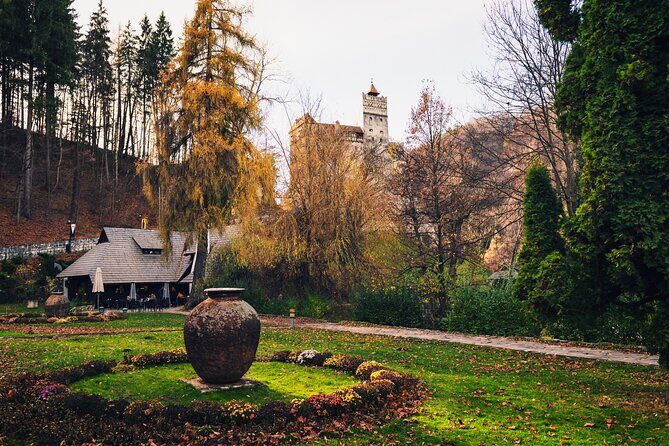 Legends&Wildlife Awaits: Dracula's Castle & Bear Sanctuary - Key Things You’ll Notice on This Tour